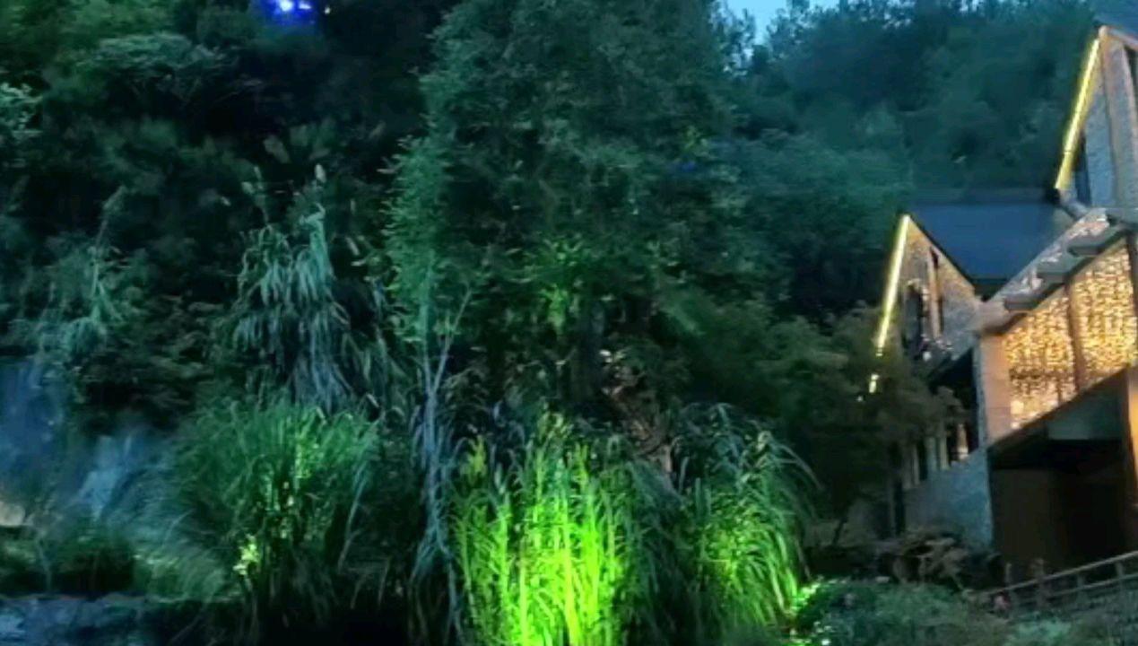 MPV蓝海搅局者，轴距超别克GL8，月底上市